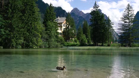 Lago-Dobbiaco-En-Los-Dolomitas,-Italia
