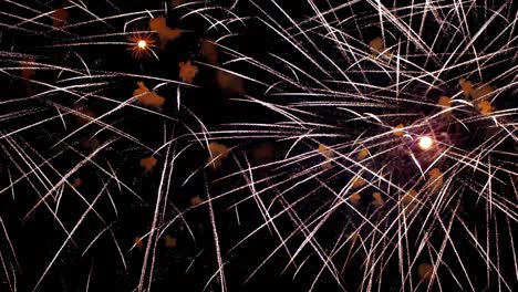 Buntes-Feuerwerk-Explodiert-Am-Nachthimmel.-Feiern-Und-Events-In-Leuchtenden-Farben.