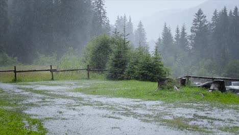 Starker-Regen-Auf-Einem-Hintergrund-Aus-Grünem-Wald.