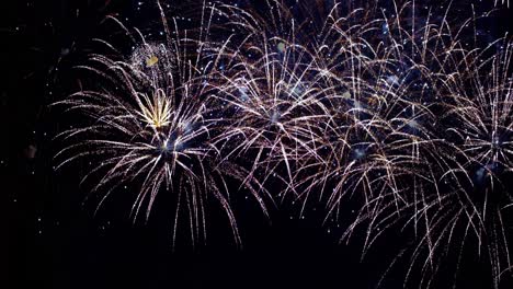 Buntes-Feuerwerk-Explodiert-Am-Nachthimmel.-Feiern-Und-Events-In-Leuchtenden-Farben.