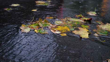 Autumn-rain-in-bad-weather,-rain-drops-on-the-surface-of-the-puddle-with-fallen-leaves.
