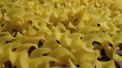 Fusilli-pasta-close-up.
