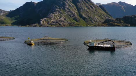 Imágenes-Aéreas-De-Una-Granja-De-Pesca-De-Salmón-En-Noruega