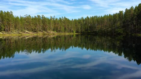 Luftaufnahme-Des-Sees-Und-Waldes-In-Finnland.-Wunderschöne-Natur-Finnlands.