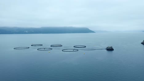Luftaufnahmen-Von-Lachsfarmen-In-Norwegen