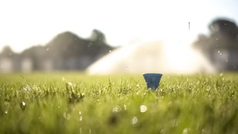 Golf-club-hits-a-golf-ball-in-a-super-slow-motion.-Drops-of-morning-dew-and-grass-particles-rise-into-the-air-after-the-impact.