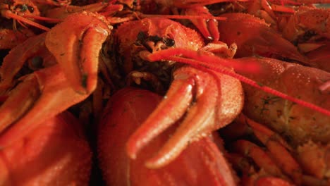 Boiled-crayfish-close-up