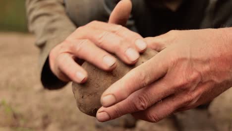 Farmer-inspects-his-crop-of-potatoes-hands-stained-with-earth.