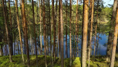 Aerial-View-of-the-Lake-and-Forest-in-Finland.-Beautiful-nature-of-Finland.
