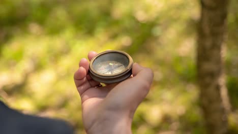 Traveler-hand-holds-a-compass-in-forest