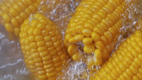 Corn-cobs-in-boiling-hot-water.-Maize-has-become-a-staple-food-in-many-parts-of-the-world,-with-the-total-production-of-maize-surpassing-that-of-wheat-or-rice.