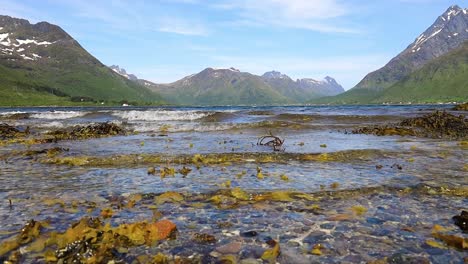 Hermosa-Naturaleza-De-Las-Islas-Lofoten-De-Noruega