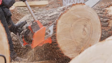Woodcutter-saws-tree-with-electric-chain-saw-on-sawmill.-Chainsaw-used-in-activities-such-as-tree-felling,-pruning,-cutting-firebreaks-in-wildland-fire-suppression,-and-harvesting-of-firewood.