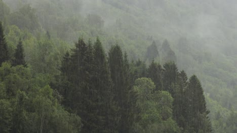 Regen-über-Wald-Schöne-Natur-Norwegen
