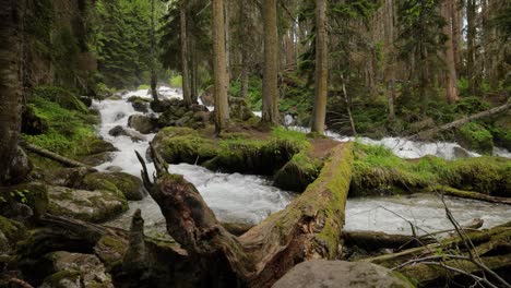Mountain-River-in-the-wood-in-slow-motion.-Beautiful-wildlife-landscape.