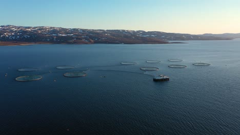 Imágenes-Aéreas-De-Una-Granja-De-Pesca-De-Salmón-En-Noruega