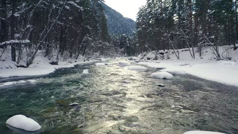 Schöner-Schneeszenenwald-Im-Winter.-Überfliegen-Von-Fluss--Und-Kiefernbäumen,-Die-Mit-Schnee-Bedeckt-Sind.