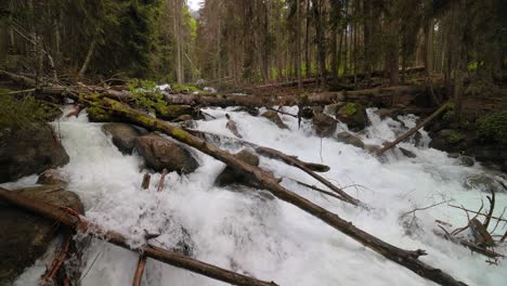 Gebirgsfluss-Im-Wald-In-Zeitlupe.-Wunderschöne-Tierlandschaft.