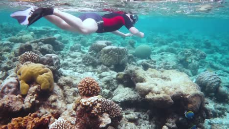 Schnorchler-Korallenriff-Auf-Den-Malediven