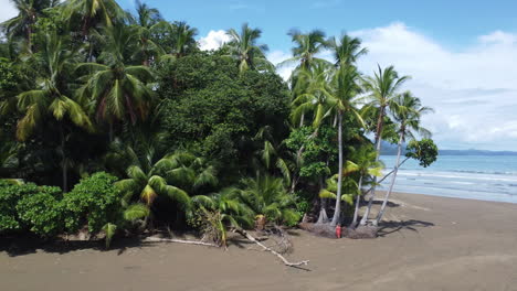 Tropical-deserted-beach-with-a-woman-standing-against-a-palm-tree-in-Marino-Ballena-national-park,-Costa-Rica