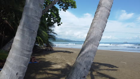 Tropical-idylic-beach-with-palm-trees-and-turqouise-water-in-national-park-of-Costa-Rica