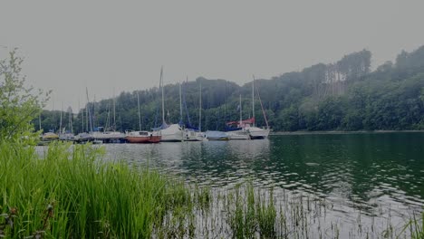 Einige-Segelboote-Auf-Einem-Steg-Am-See-Der-Aggertalsperre-Mit-Schilf-Im-Wald-Im-Hintergrund