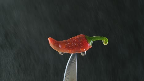 Water-spraying-on-red-chili-pepper-stuck-in-a-knife-on-black-background,-Macro-shot