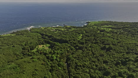Maui-Hawaii-Aerial-v47-drone-flyover-Palikea-stream-in-Haleakala-National-Park-capturing-hillside-landscape-with-lush-vegetations-and-pacific-ocean-views---Shot-with-Mavic-3-Cine---December-2022