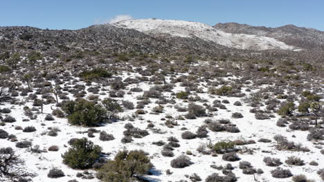Aerial-view-of-the-Joshua-Trees-National-Park-on-a-sunny-winter-day