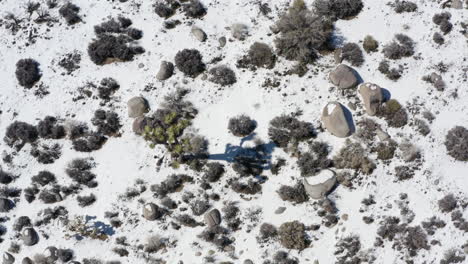 Overhead-view-of-Joshua-Trees-Park-with-snow