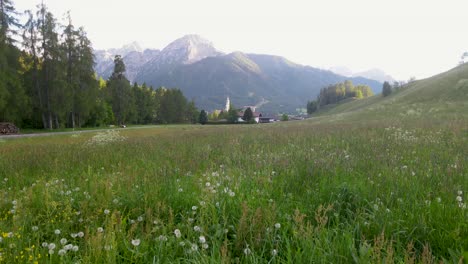 A-meadow-in-Toblach,-Italy-speeds-by-as-the-drone-camera-captures-a-low-angle-shot