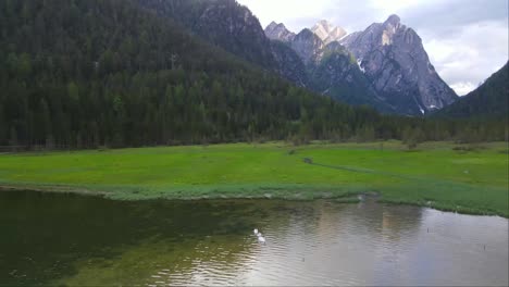 Drone-shot-of-great-Lake-Dobbiaco-and-green-grass-in-Toblacher-See,-South-Tyrol,-Italy