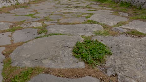 Paved-road-dating-from-ancient-Greece-in-the-archaeological-park-of-Paestum-in-Southern-Italy
