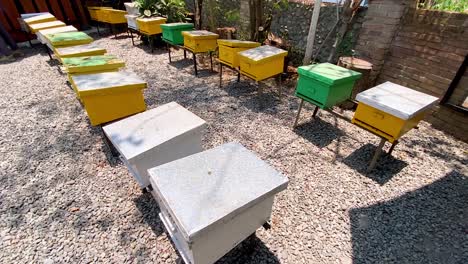 Box-of-beehive-on-the-apiary