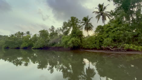 Bäume,-Die-Sich-Im-Fluss-Saleri,-Goa,-Indien,-4k-Spiegeln