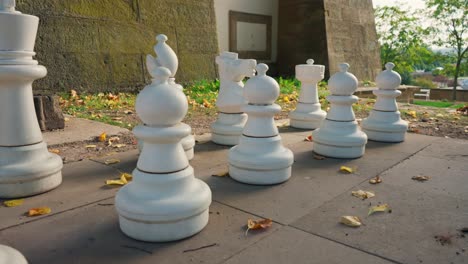 Large-chess-set-containing-white-pieces-ready-to-play-the-game-and-subdue-the-opponent-on-a-sunny-autumn-day