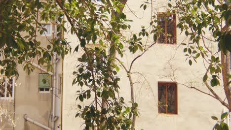 Außenansicht-Einer-Weißen-Mediterranen-Wohnwohnung-Mit-Blättern,-Bäumen-Und-Fenstern