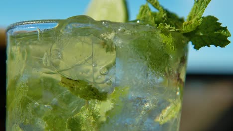 Rack-focus-of-mint-sprigs-as-bubbles-rise-in-mojito,-shallow-depth-of-field