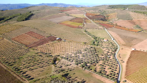 Aerial-shot-of-multiple-farm-fields