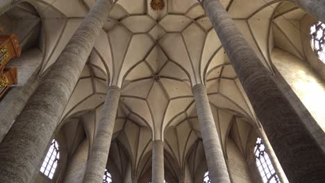 Beautiful-Ceiling-and-Stone-Columns-of-Franciscan-Church