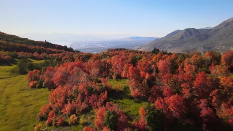Drone-Shoot-of-scenic-view-with-Fall-colors-in-Mountains