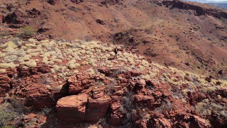 Aerial-orbiting-shot-of-male-hiker-on-red-mountains-during-sunny-day-in-Karijini-National-Park
