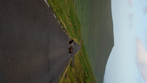 Vertical-shot-of-two-lone-sheeps-in-middle-of-mountain-road-in-Eysturoy,-Faroe-Islands