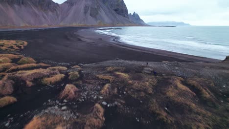Aerial:-tilt-up-reveal-of-tussocks,-black-sand-beach,-and-Vestrahorn,-with-its-iconic-jagged-peaks-and-towering-buttresses,-rises-dramatically-from-this-dark-expanse-like-a-colossal-cathedral-of-stone