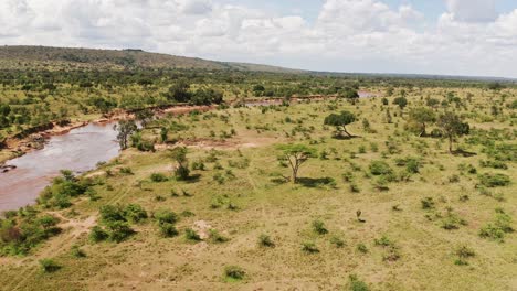 Aerial-drone-shot-of-Acacia-Trees-and-Masai-Mara-River-Landscape-in-Africa,-Beautiful-Green-Lush-Scenery-in-Kenya-in-Maasai-Mara-National-Reserve