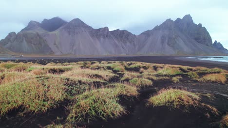 Aerial:-Elevation-reveal-of-Black-sand-beach,-tussocks,-and-Vestrahorn,-with-its-iconic-jagged-peaks-and-towering-buttresses,-rises-dramatically-from-this-dark-expanse-like-a-cathedral-of-stone