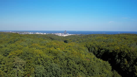 Dichtes-Blätterdach-Aus-Waldbäumen-Mit-Der-Küstenskyline-Von-Witomino-In-Gdynia,-Polen