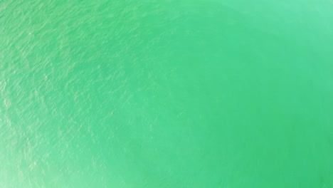 Grünes-Und-Blaues-Türkisfarbenes-Wasser-Des-Golfs-Von-Mexiko,-Luftaufnahme-Von-Oben-Am-Strand-Von-Panama-City,-Florida,-Amerika,-USA-In-Der-Nähe-Des-Pier-Parks