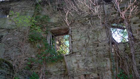 Overgrown-ruins,-abandoned-ancient-building-covered-by-green-foliage-in-France