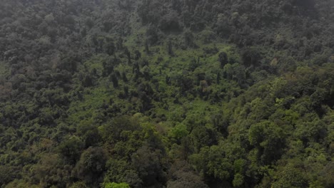 Aerial-shot-of-lush-green-forrest-at-Vietnam